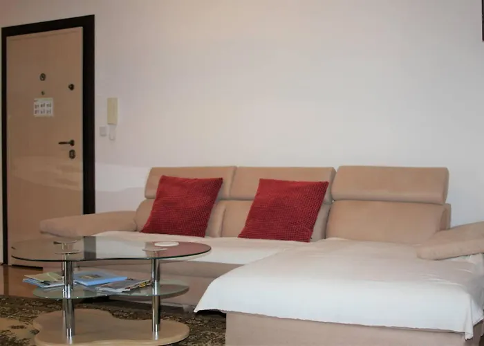 Roko Close To Krk Town